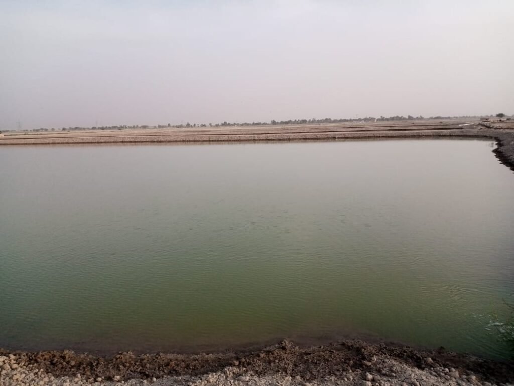 AQUACULTURE RESEARCH IN BARREN LAND